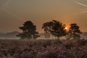 2017-08-29-Den-Treek-021