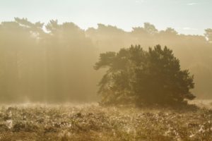 2017-09-23-Den-Treek-061