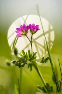 2018-05-02-Valleikanaal-060