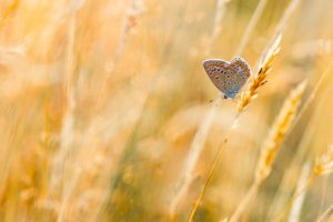 2018-07-24-Den-Treek-010