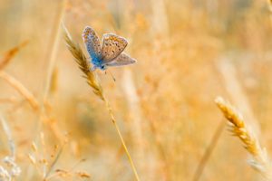 2018-07-24-Den-Treek-037