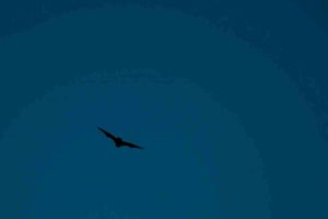 2018-10-11-Den-Treek-001