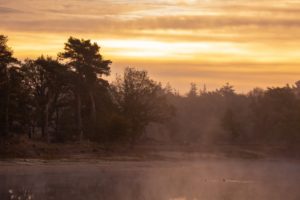 2018-10-20-Den-Treek-061