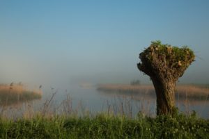 2019-04-29-Sluis-099