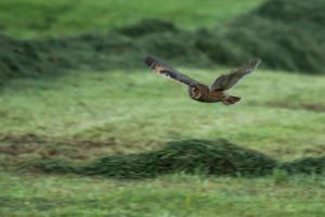 2019-04-30-Sluis-077
