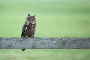 2019-05-01-Sluis-098
