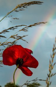 2020-06-12-Regenboog-093