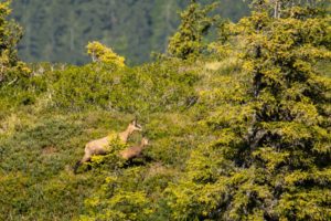 2020-08-12-Bartholomäberg-012