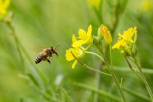 2020-08-17-Bartholomäberg-004