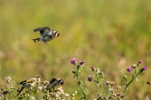 2020-08-29-untitled-411