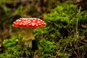 2020-10-21-Paltz-022