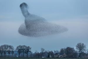 2021-02-04-IJsselstein-154