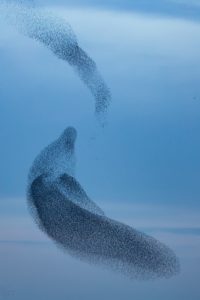 2021-02-04-IJsselstein-232