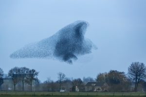 2021-02-04-IJsselstein-356