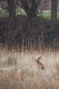 2021-03-03-Stoutenburg-039-Edit