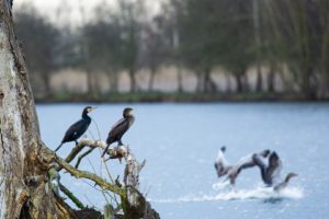 2021-03-27-Amerongen-021