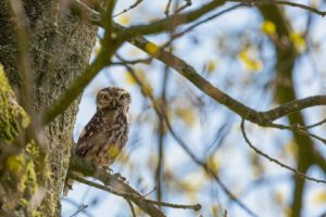 2021-04-27-Leusbroekerweg-014-Edit