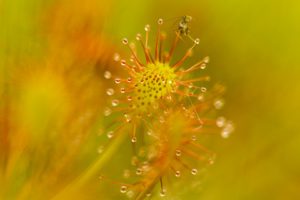 2021-08-13-Den Treek-003