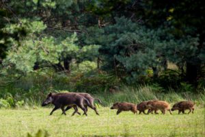 2021-08-14-Aardhuisweg-055-bewerkt