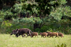 2021-08-14-Aardhuisweg-062-bewerkt-2