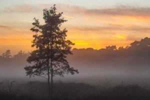 2021-10-07-Den Treek-046-2