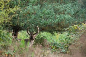 2021-10-22-Plantage W3-052-bewerkt