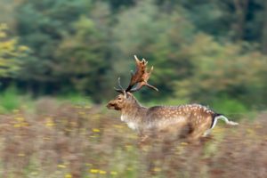 2021-10-22-Plantage W3-060-bewerkt