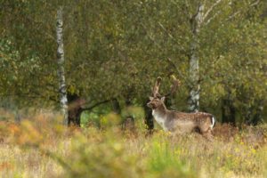 2021-10-22-Plantage W3-109