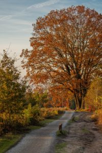 2021-10-27-Den Treek-027