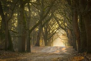 2022-03-10-Den Treek-061-bewerkt