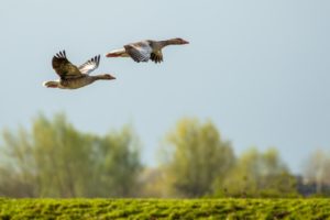 2022-04-09-Steenwaard-015-bewerkt