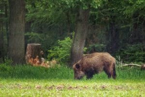 2022-05-28-Elspeet-040-bewerkt