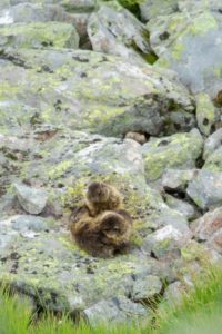 2022-07-26-Tschagguns-069