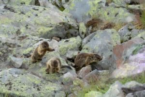 2022-07-26-Tschagguns-085