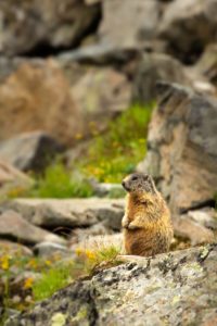 2022-07-26-Tschagguns-116