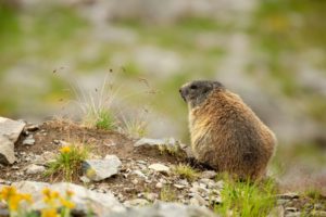 2022-07-26-Tschagguns-146