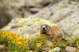 2022-07-26-Tschagguns-178