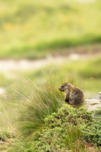 2022-07-26-Tschagguns-213